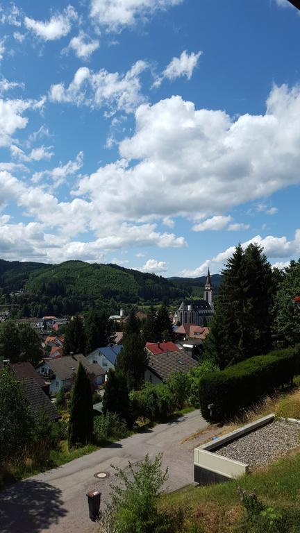 Hochschwarzwald Ferienwohnung Titisee-Neustadt Exteriér fotografie